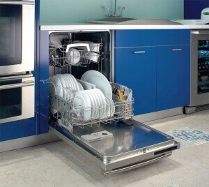 Dishwasher repair is what we do.