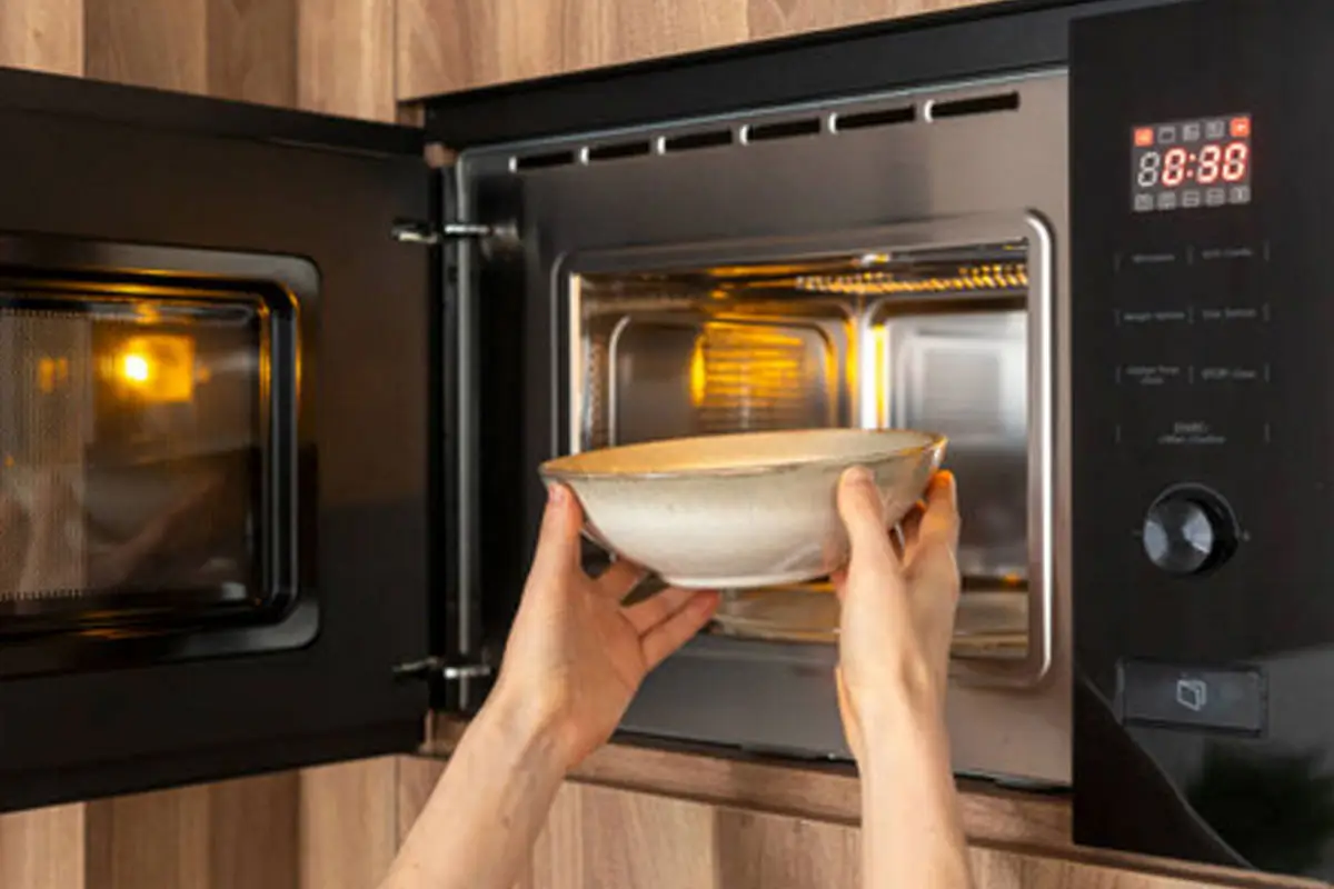 Microwave Repair